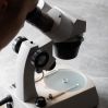 Progettazione e lancio del nuovo modello in fusione AG*SRV 10