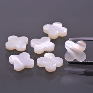 Quadrifoglio in conchiglia bianca 10x10 MM
